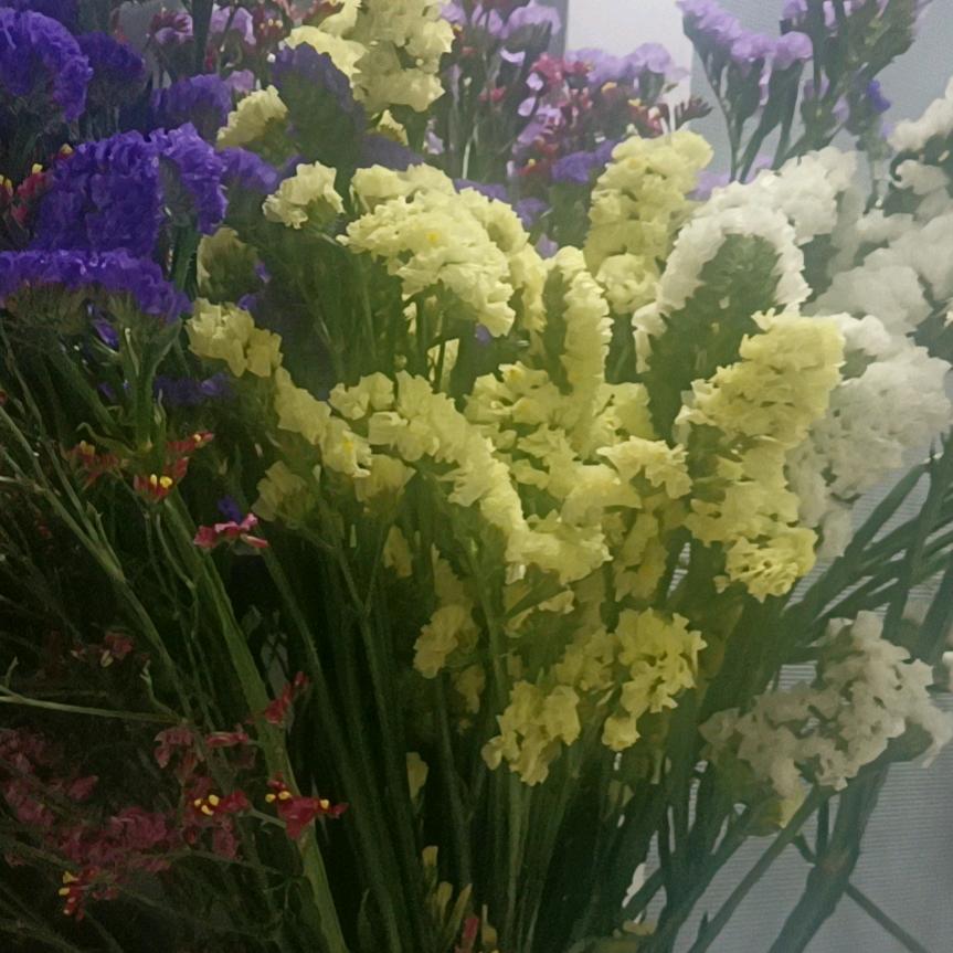 人生（拒私聊）