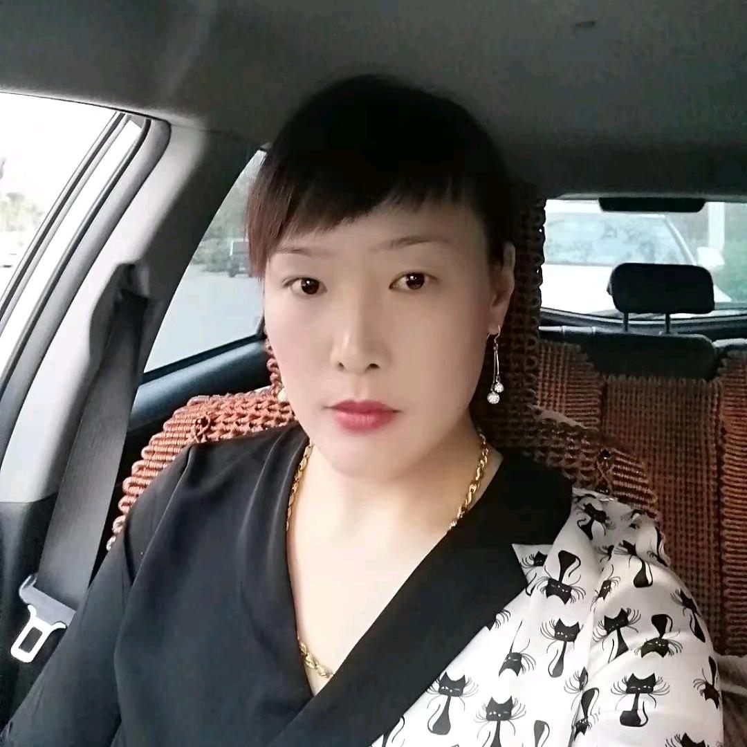 与猪共舞