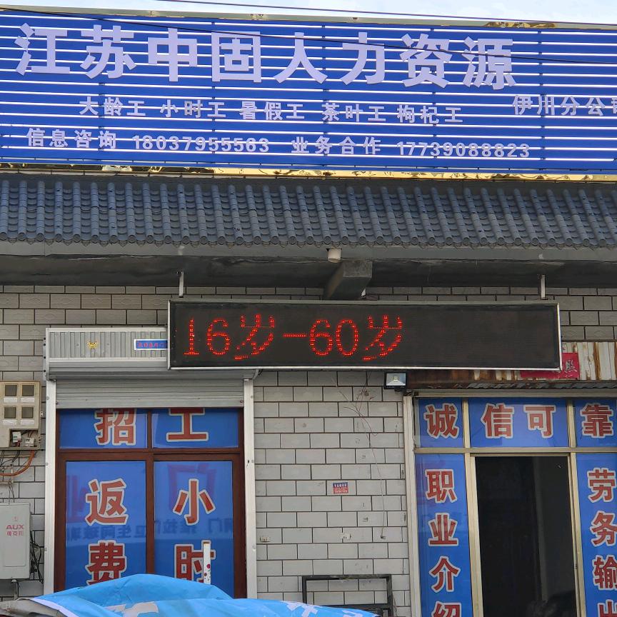 洛阳中固人力资源