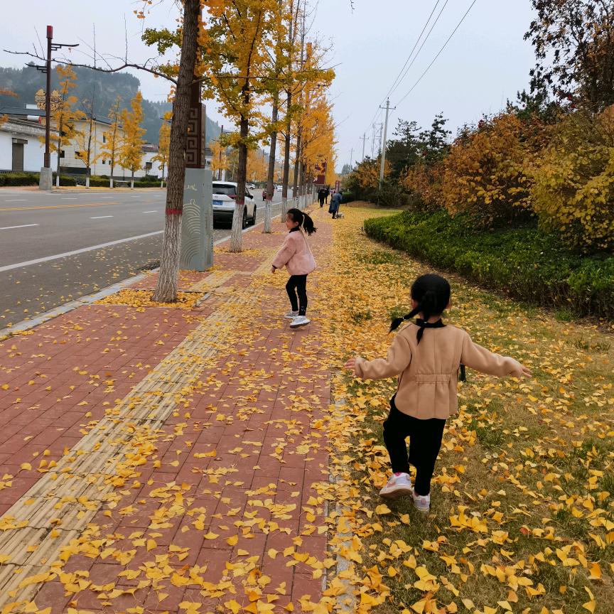沫沫