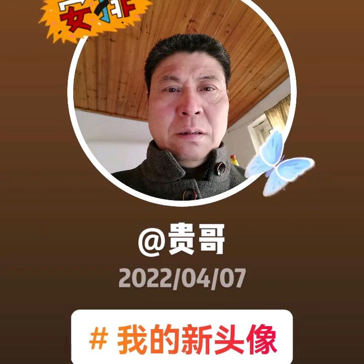 贵哥