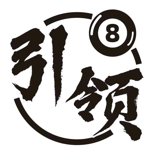 引领台球器材