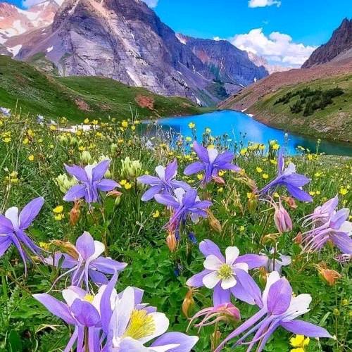 花开花落