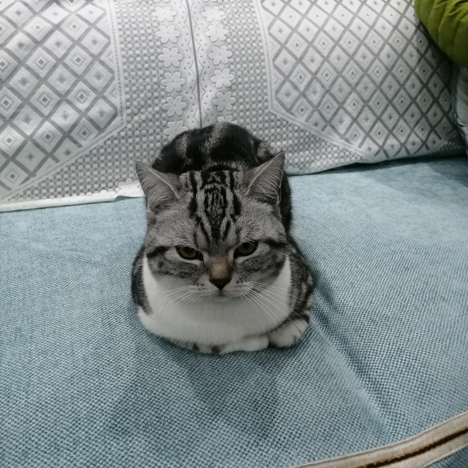 零的起点