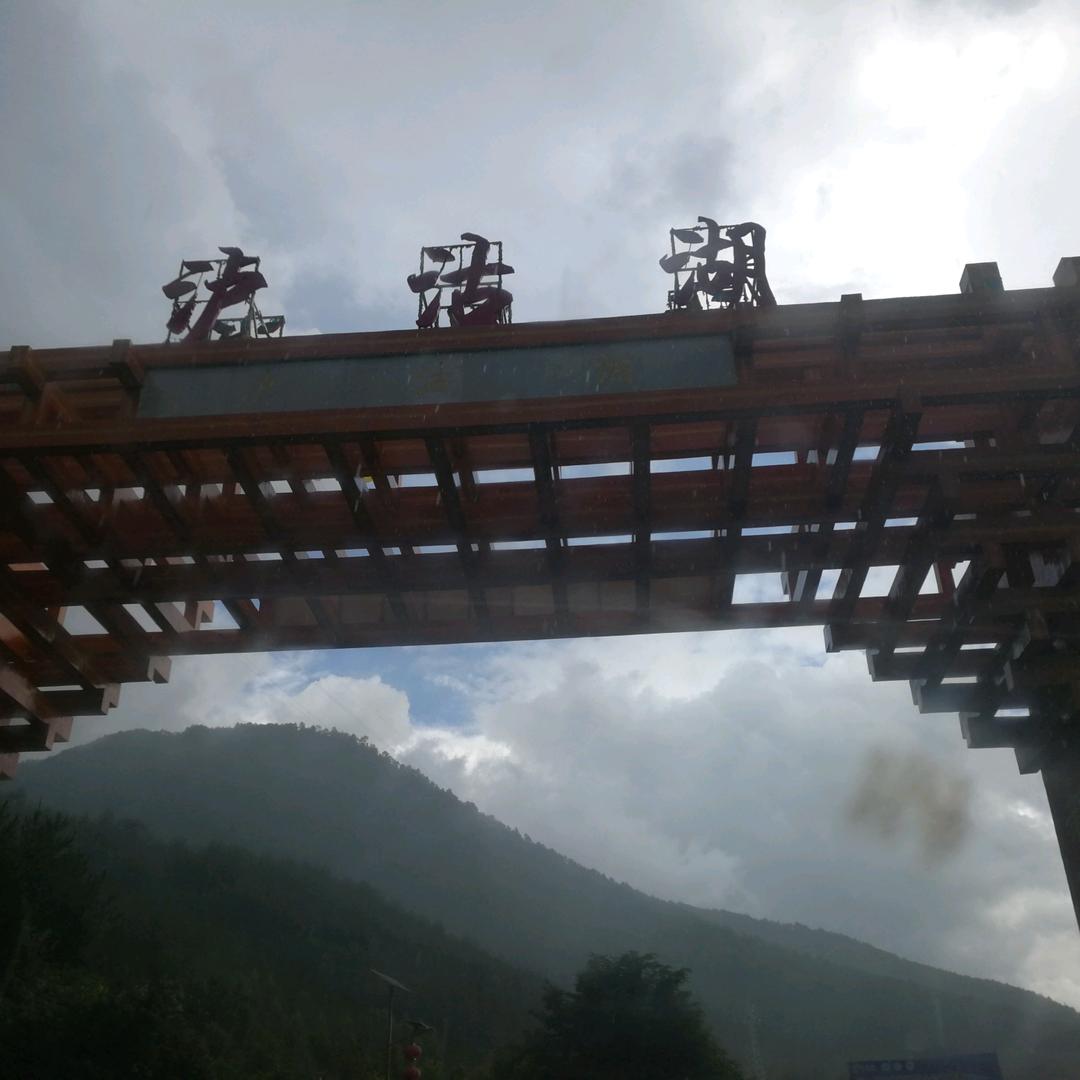张大爷