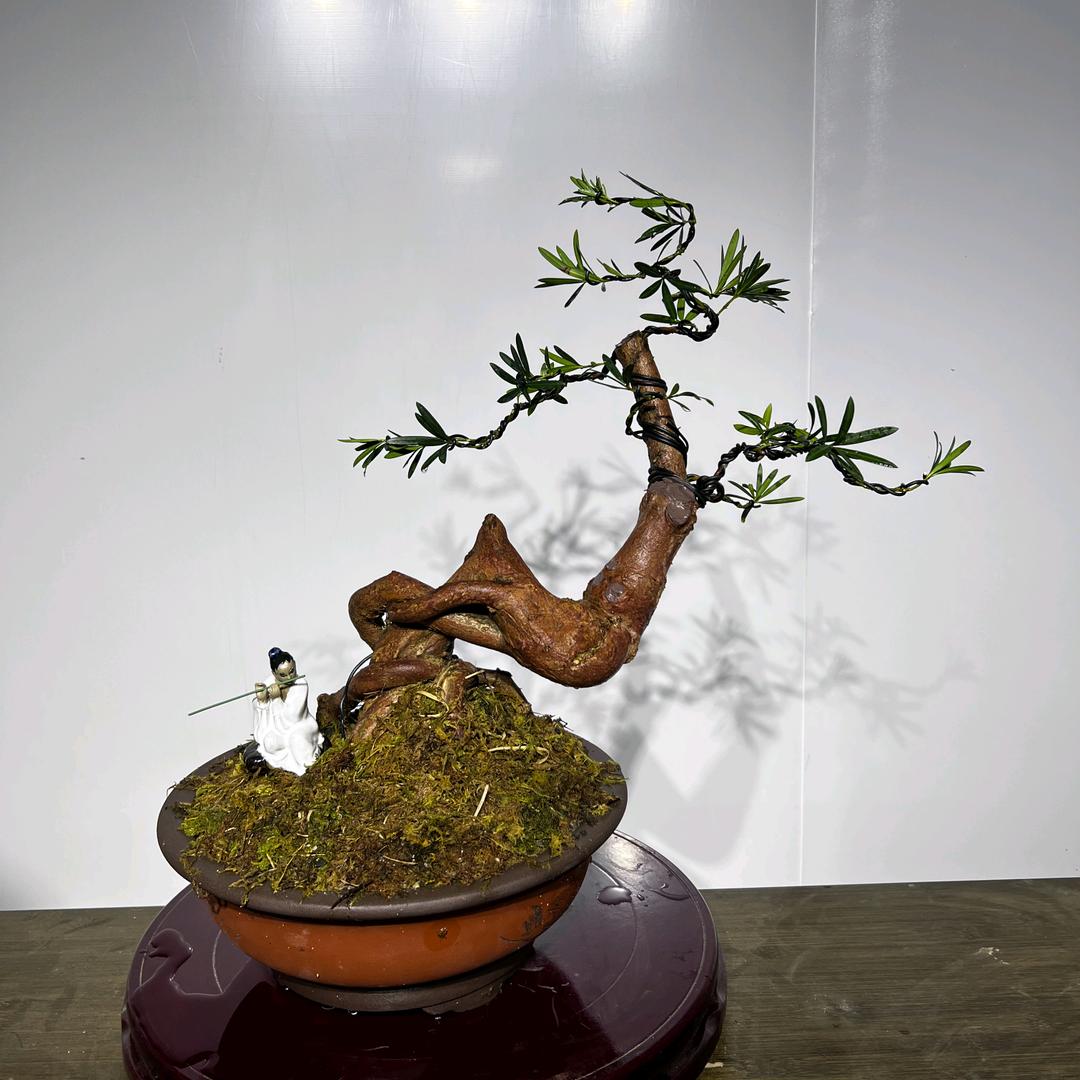 北海万景阁园艺场（陈仔）
