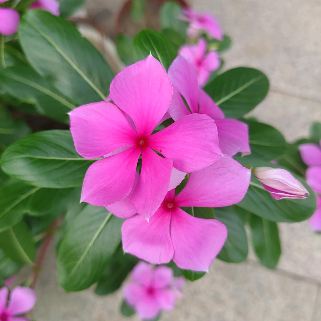 用户3661974264069夕阳宏