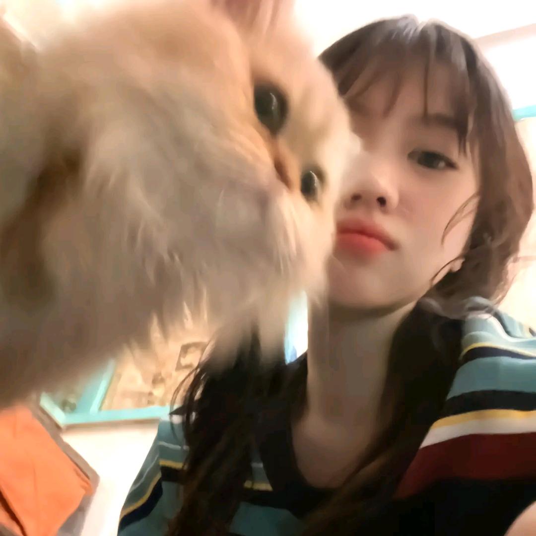 阿xiiiii.