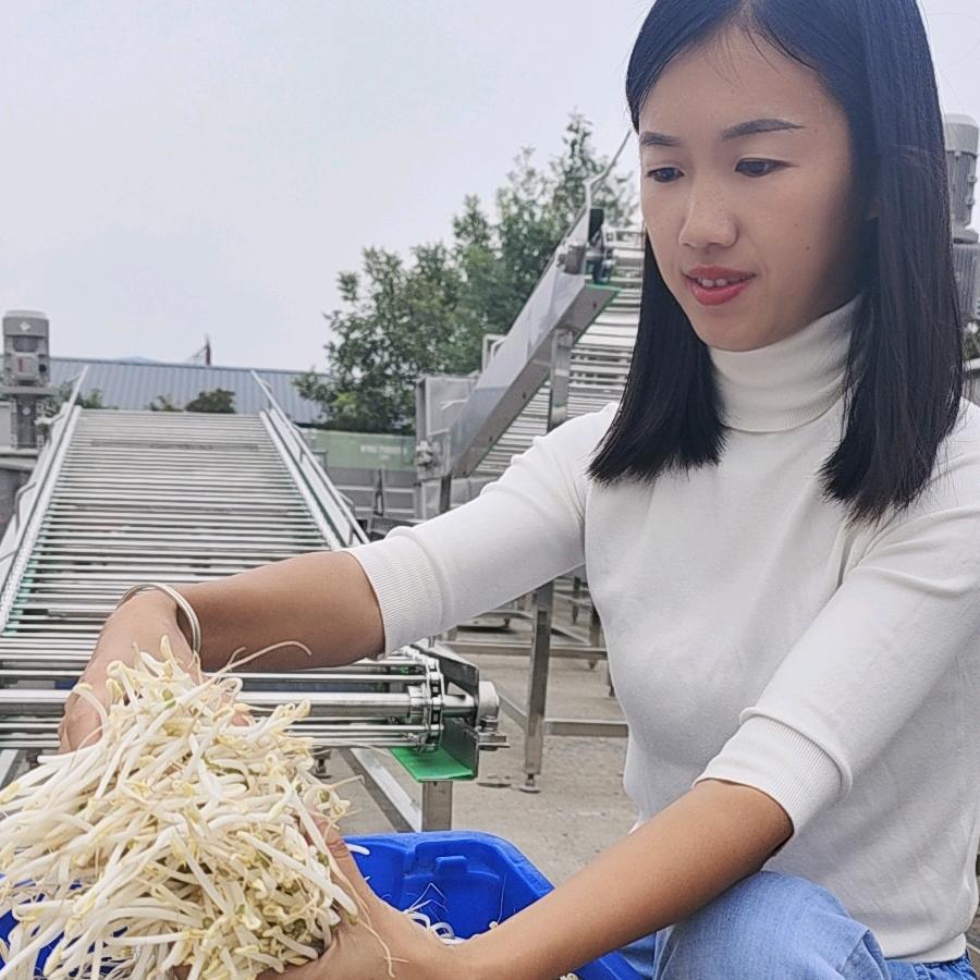 山东科发豆芽机械～