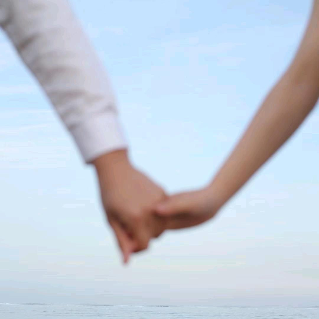 梧桐沐晓