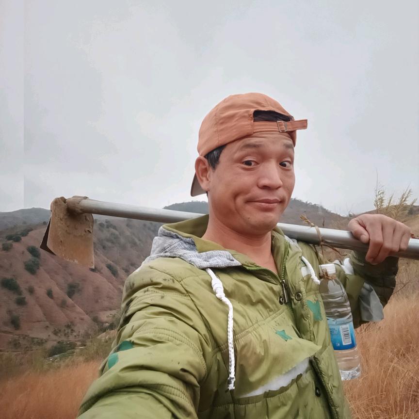 王师