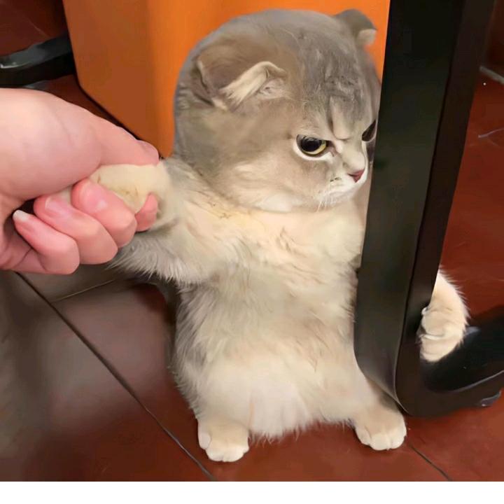 醒醒k