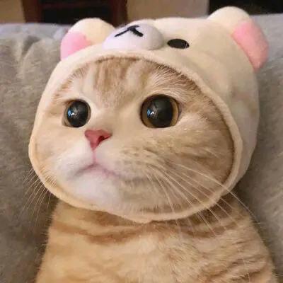 萱萱美食汇