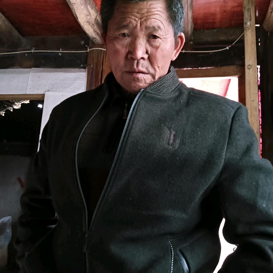 张氏一家亲