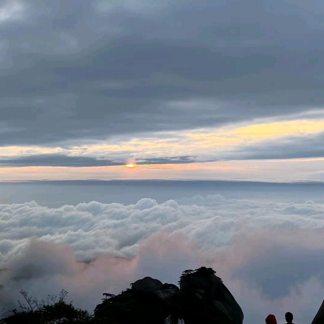福特佳