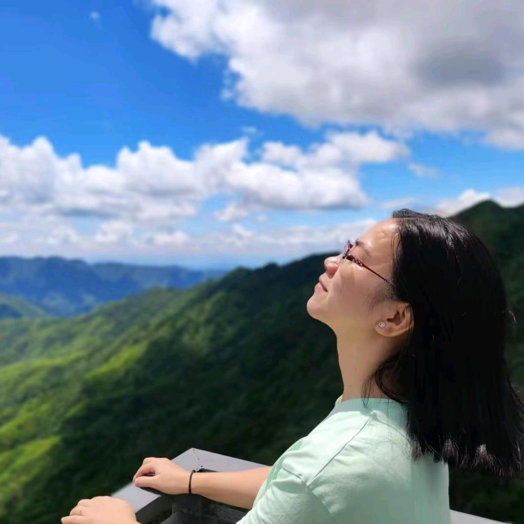 小恐龙打奥特曼