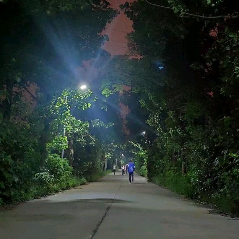 文森堡（百星哥单排版）