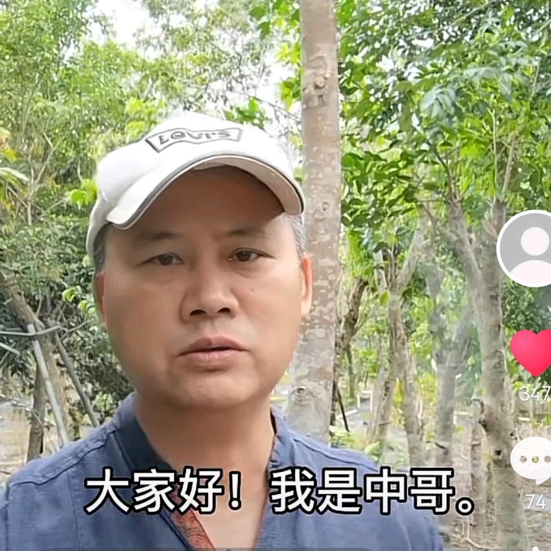 中哥点沉香