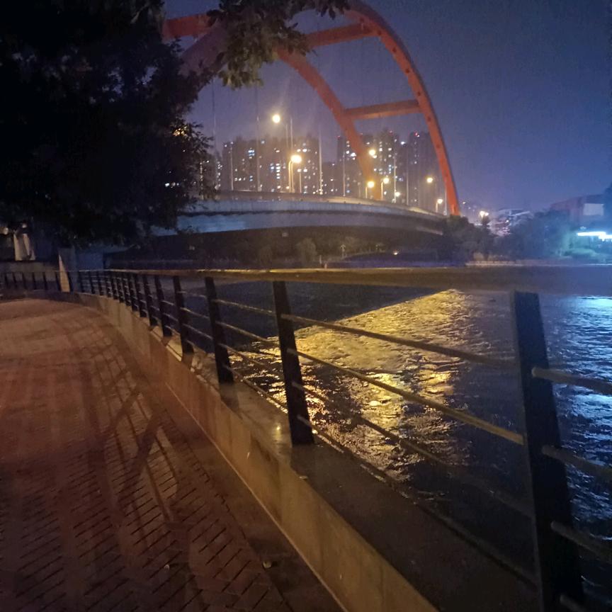 单只蝴蝶🦋🦋🦋