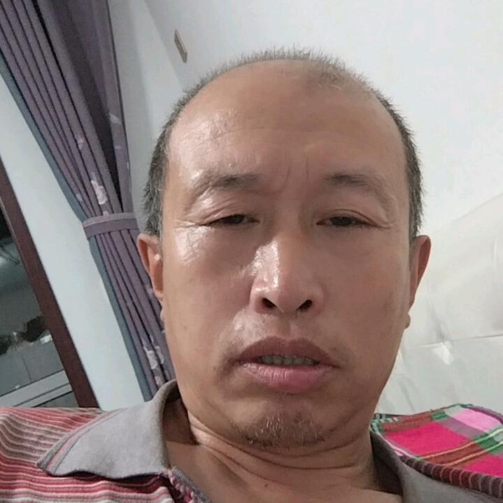 踏雪寻梅