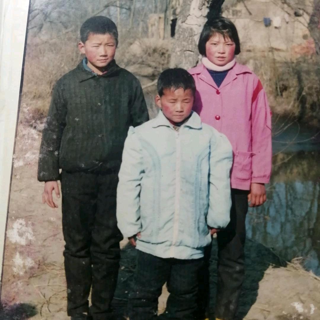 柏不是白