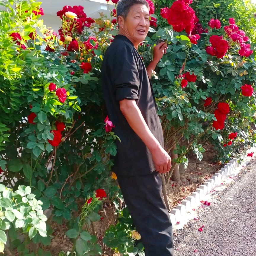 老六7387557942447处理地基