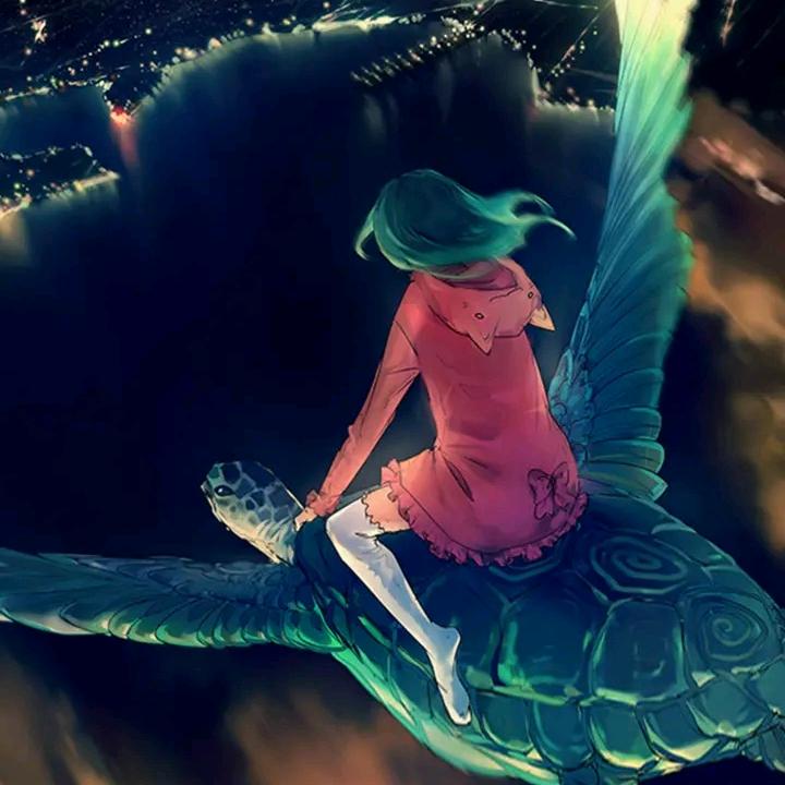 一花壹世界