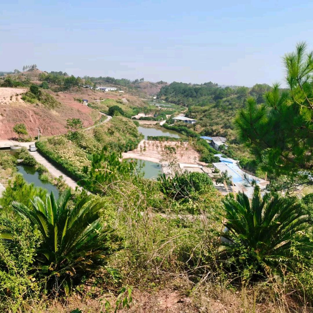 秒回关永不罢休