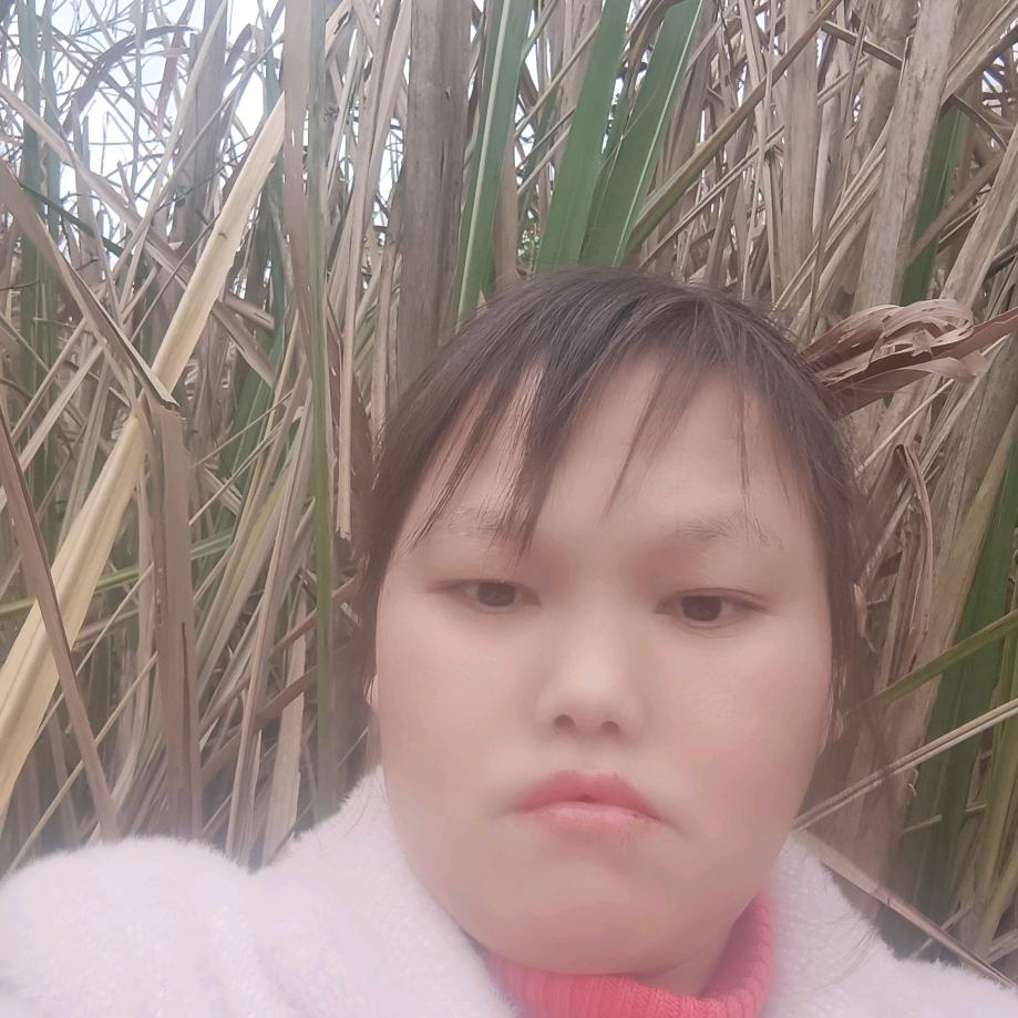 用户25869870452张菊花