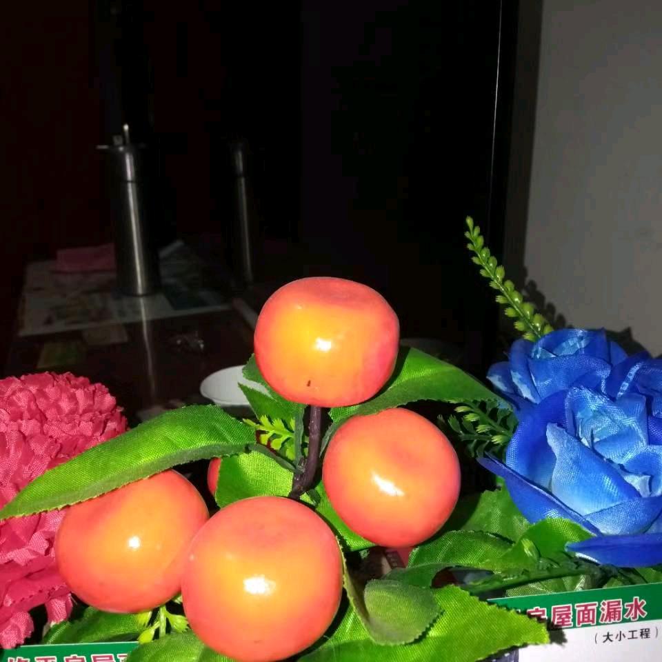 中农肥业北岐（燕更武）