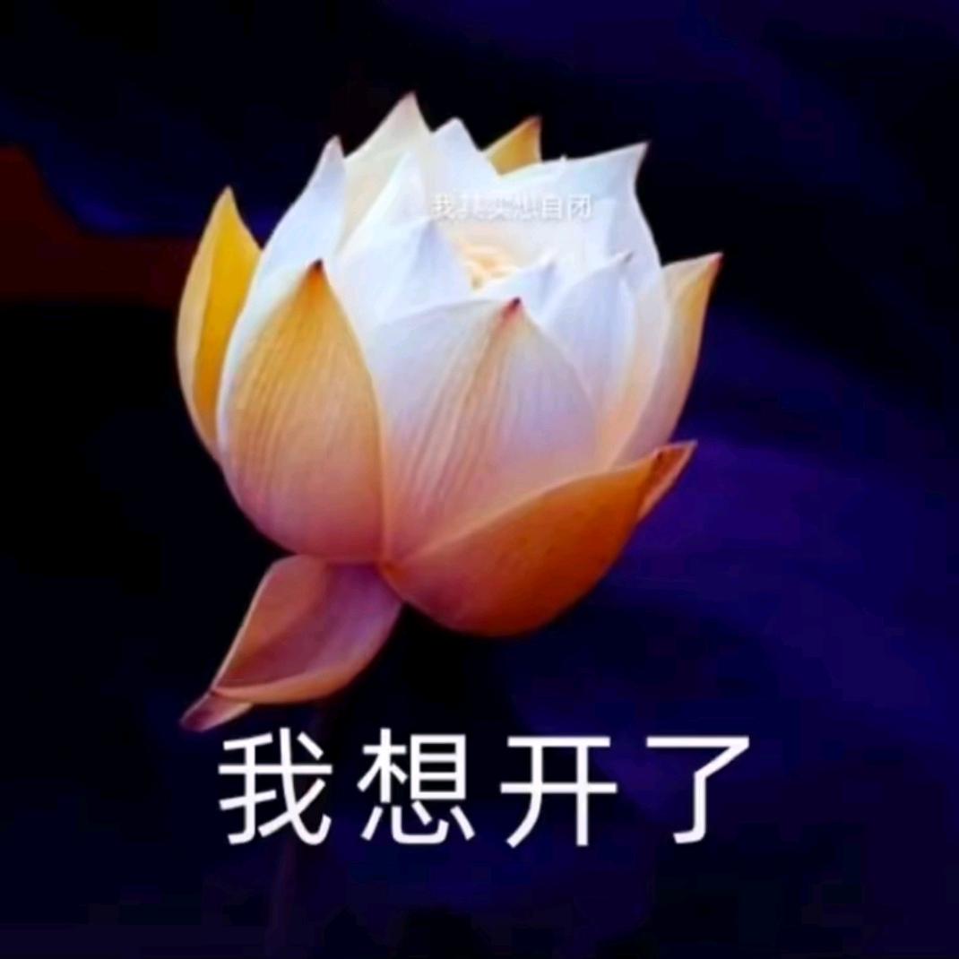 技巧小实验