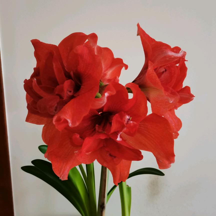 合家欢乐~