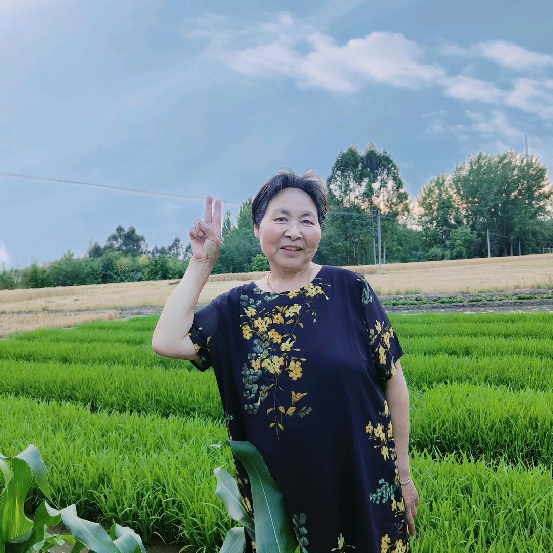 琼（暂时不关注，不私信