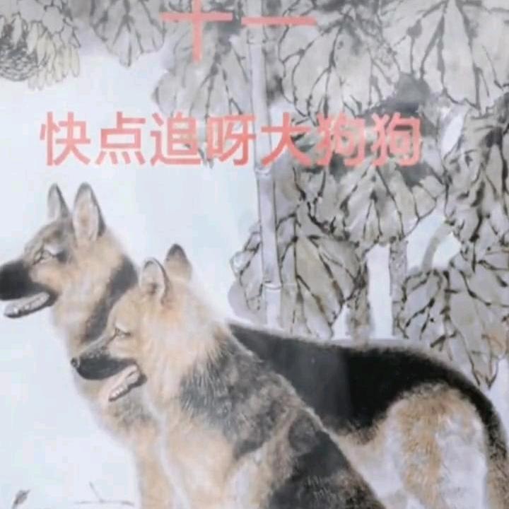 美好的每一天