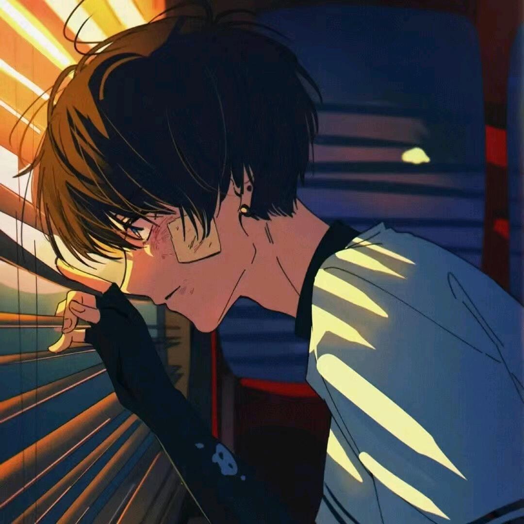 释怀鸟