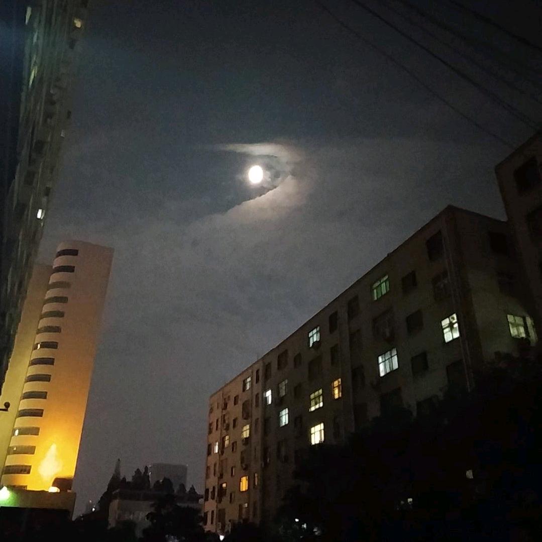 你说得对