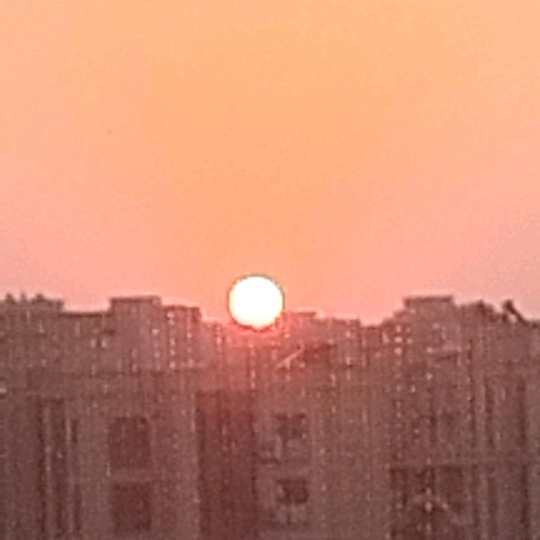贵族运动户外