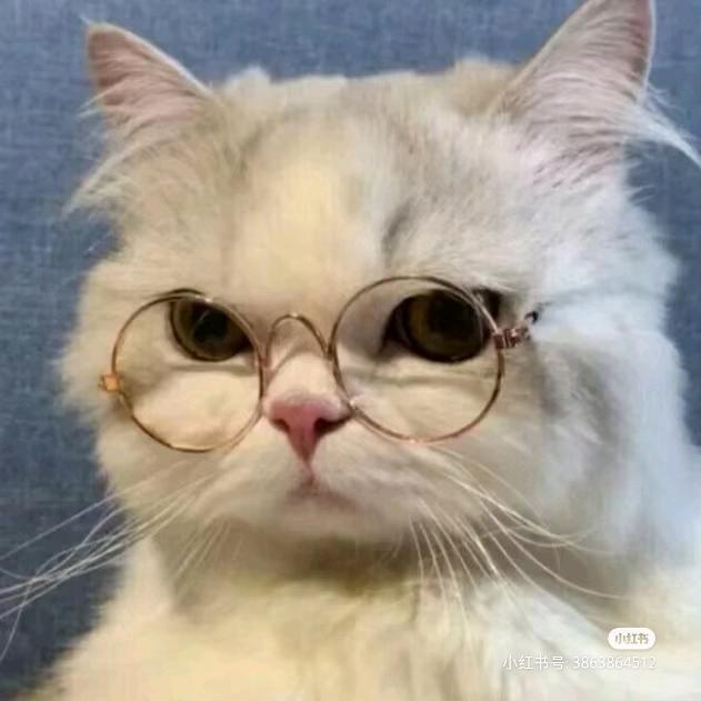 清玖玖玖玖玖玖.