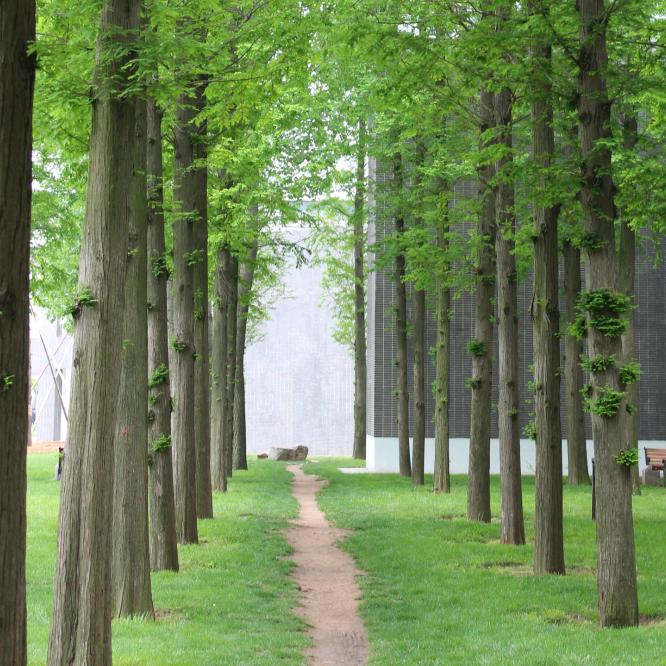 你是我流年里舍不得的温柔