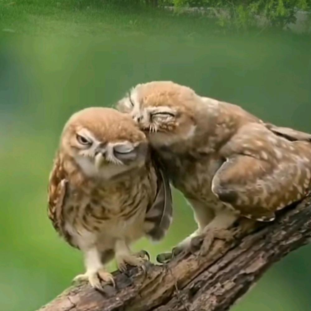 农人9c5V一一手机摄影