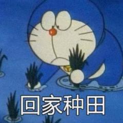 动物初体验