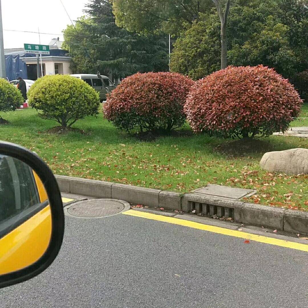 天里行