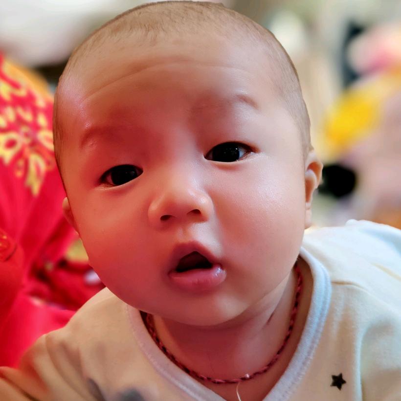 小肥竹
