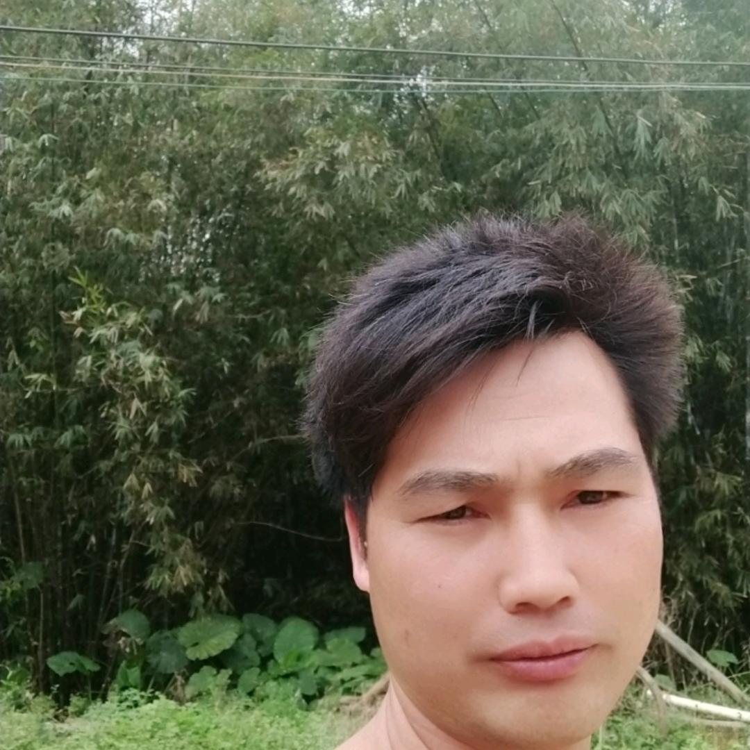 海哥一生痴情只是为了你