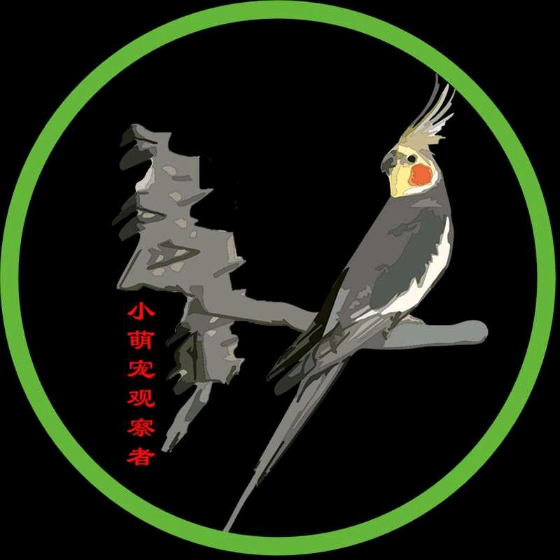 小萌宠观察者