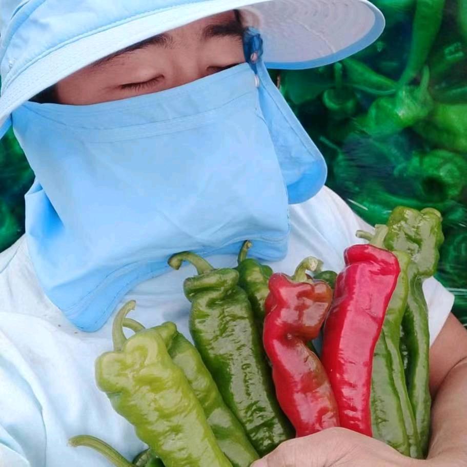 辣椒王子