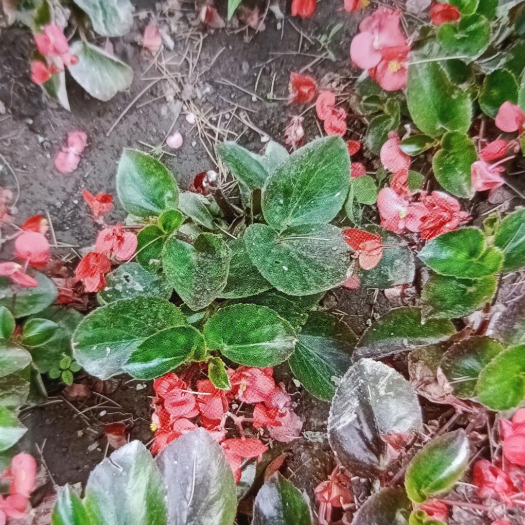 输什么都不能输心情