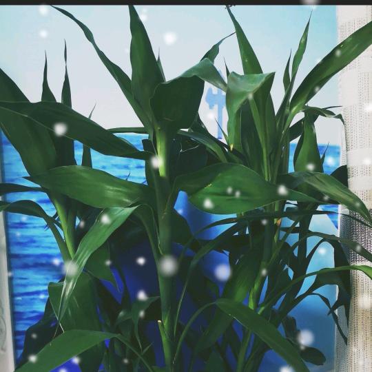 余生好好爱自己