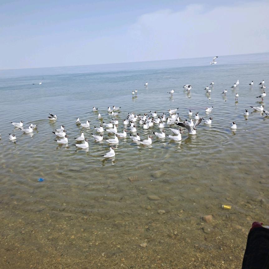 🌳ℒℴѵℯ翠微与苍渊এ⁵²º᭄এ