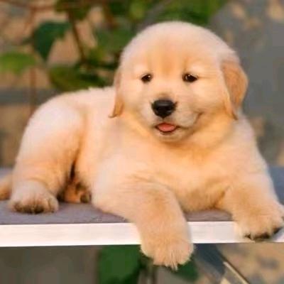 等待🤗🤗